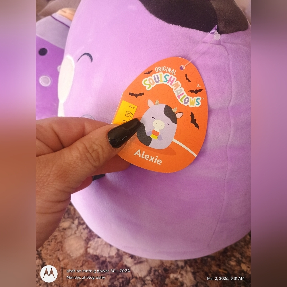 Squishmallows brand new with tags original squishmallows Kensington and Alexie. - Picture 6 of 6